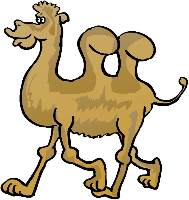 Rêver de chameau ou de dromadaire : signification, interprétation