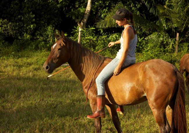 Rêver de monter à cheval: qu'est-ce que ça signifie?