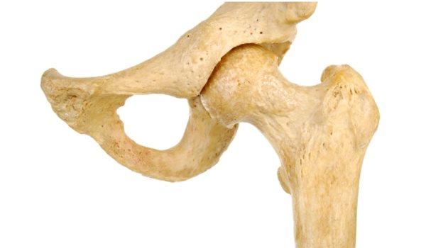 Quels os sont appelés les os irréguliers?