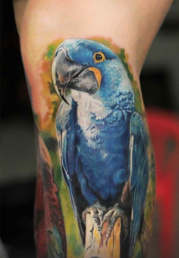 Que symbolise un perroquet sur un tatouage?