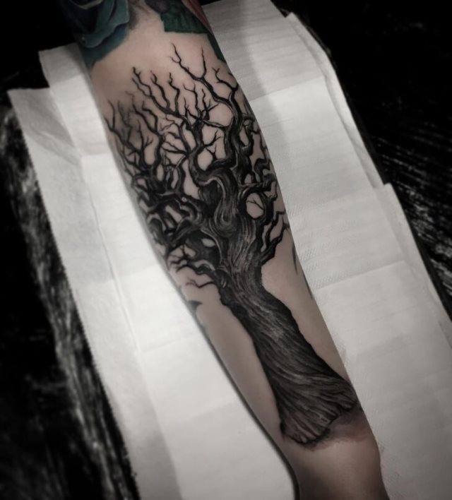 tattoo feminin arbre 52