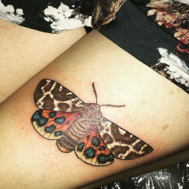 tattoo feminin de papillon 53