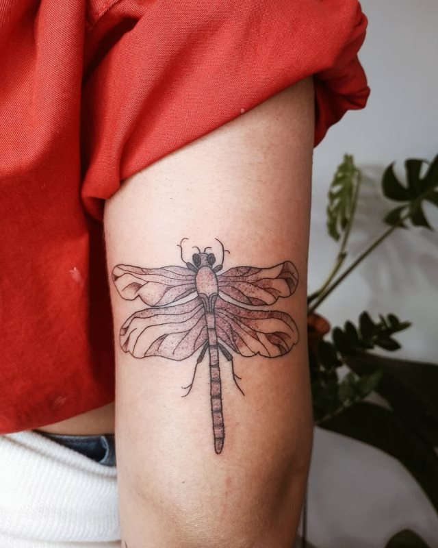 tattoo feminin libellule 27