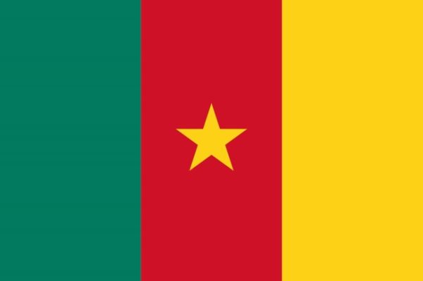 Que symbolisent les couleurs du drapeau du Cameroun?