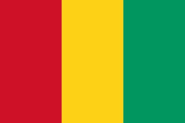 Drapeau de Guinée : Histoire et signification