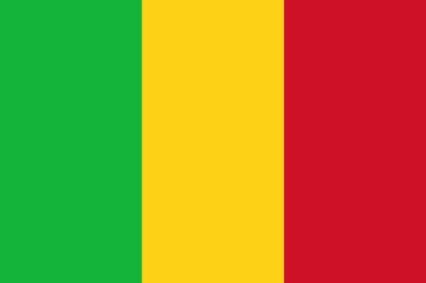 Drapeau du Mali : Histoire et signification