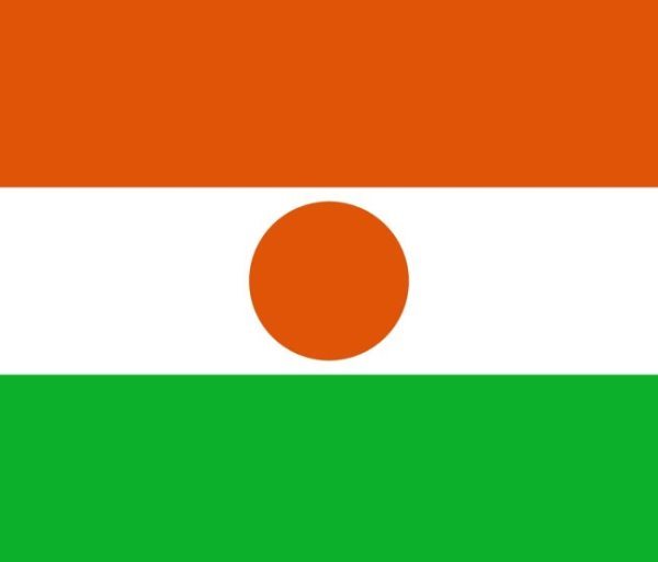 Drapeau du Niger : Histoire et signification