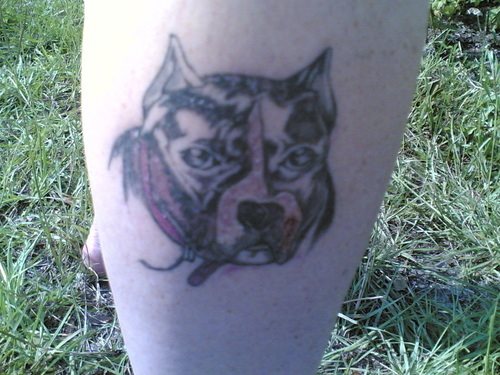204 tatouage chien