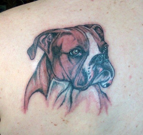 206 tatouage chien
