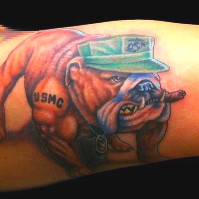 211 tatouage chien