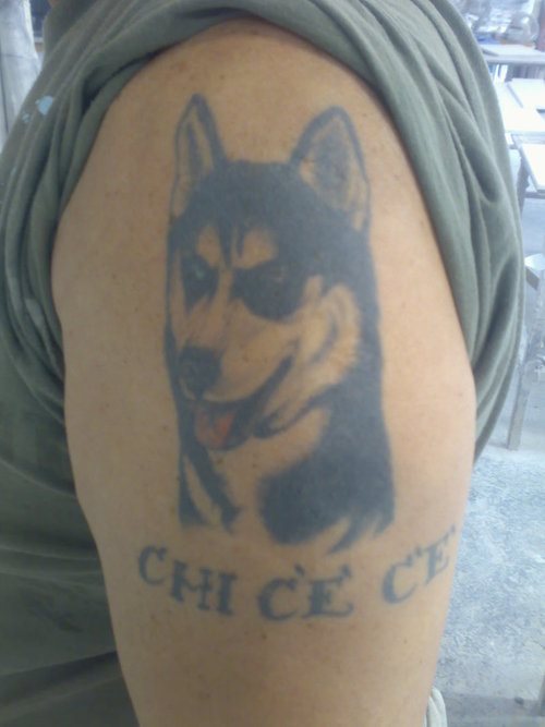 212 tatouage chien
