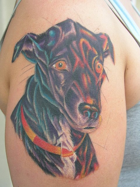 215 tatouage chien