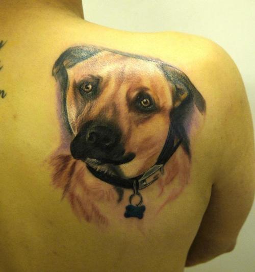 216 tatouage chien