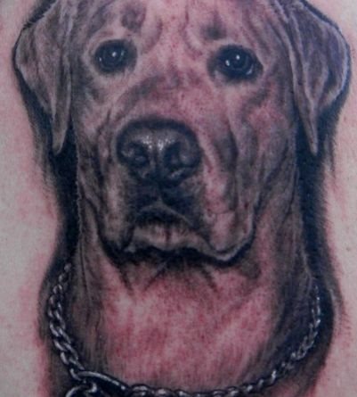 217 tatouage chien