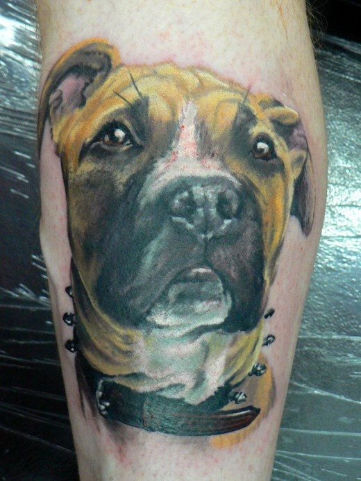 219 tatouage chien