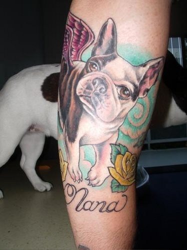 223 tatouage chien