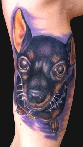 226 tatouage chien