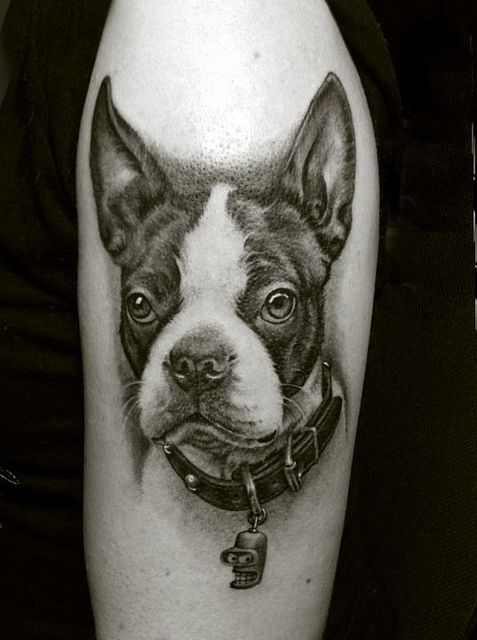 229 tatouage chien