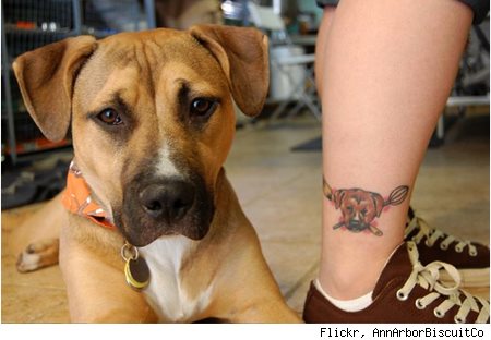 233 tatouage chien