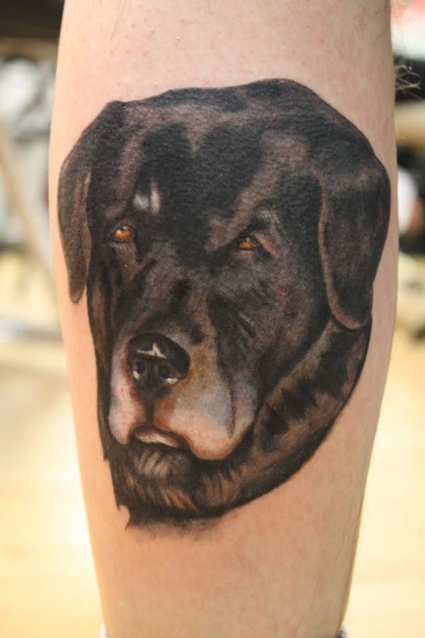 235 tatouage chien