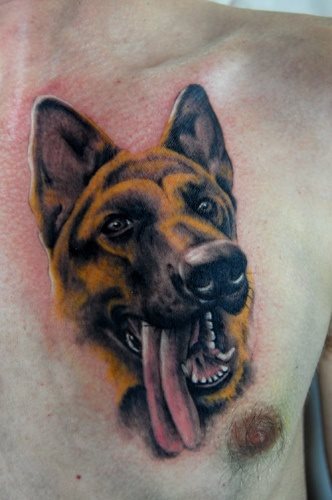 236 tatouage chien