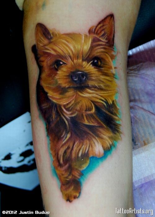 241 tatouage chien