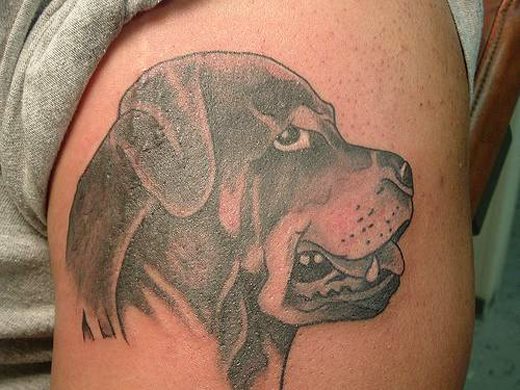 249 tatouage chien