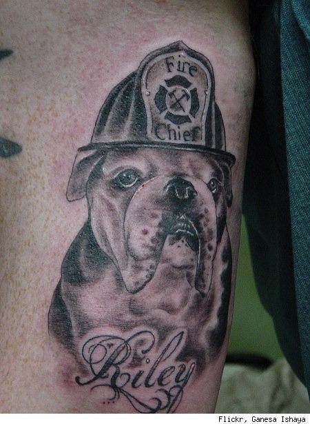 tatouage chien 47