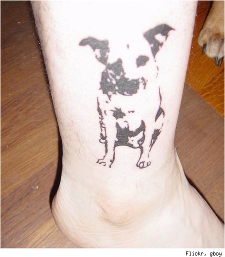 tatouage chien 48