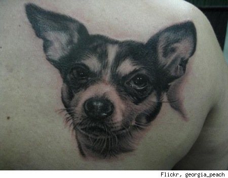 tatouage chien 49