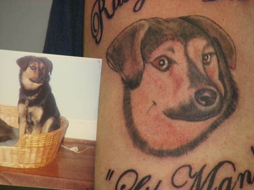 tatouage chien 57
