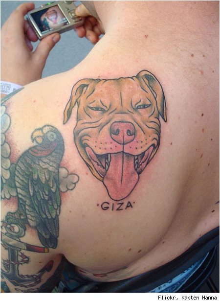 tatouage chien 62