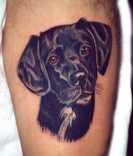 tatouage chien 88