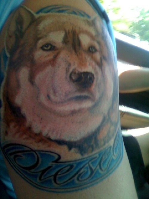 tatouage chien 95