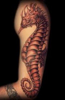 208 tatouage hippocampes