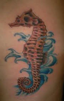 211 tatouage hippocampes