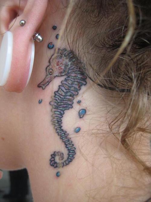 229 tatouage hippocampes
