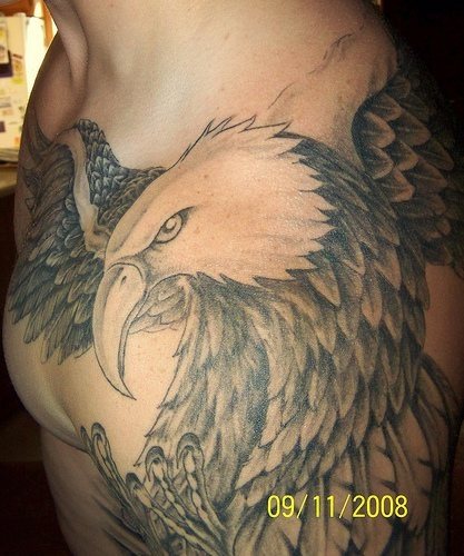 tatouage aigle 501