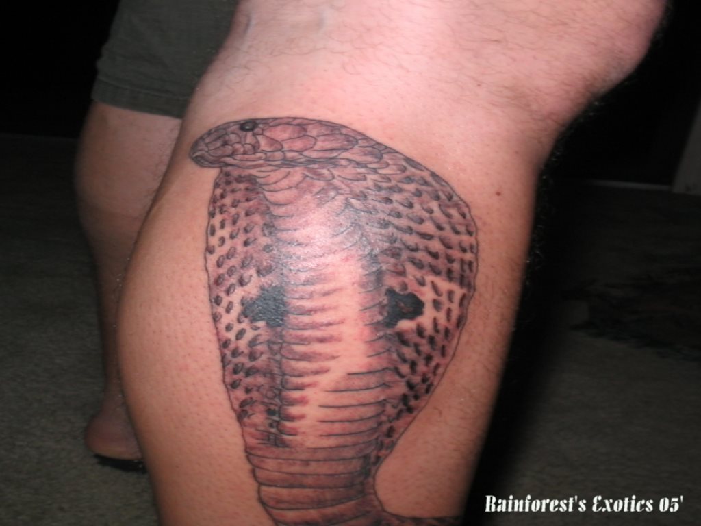 tatouage animal 173