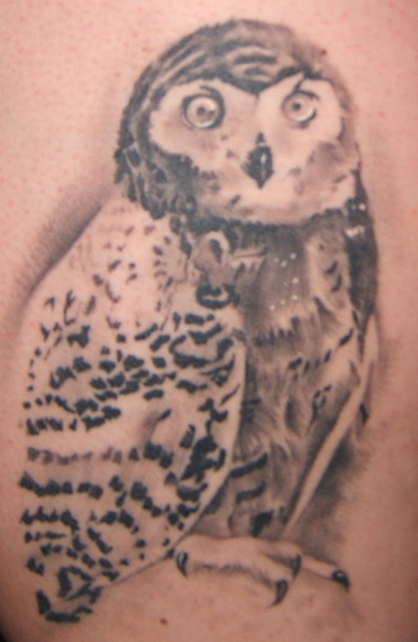 tatouage animal 205