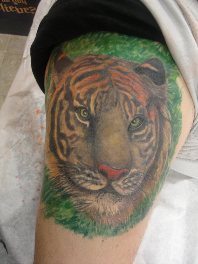 tatouage animal 206