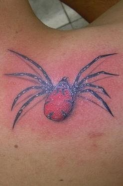 tatouage araignée 504