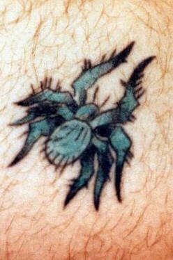 tatouage araignée 506