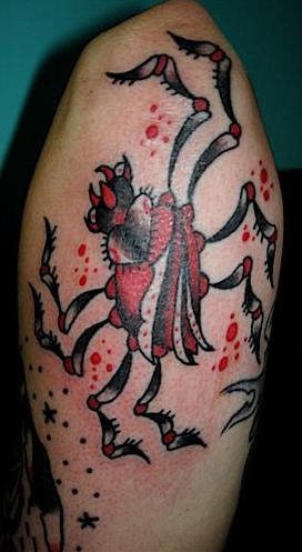 tatouage araignée 507