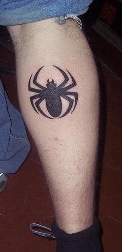 tatouage araignée 508