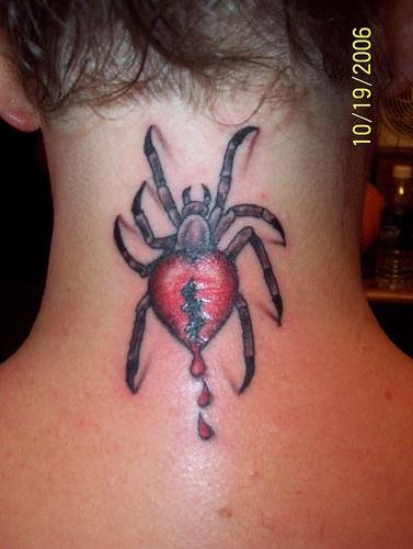 tatouage araignée 510