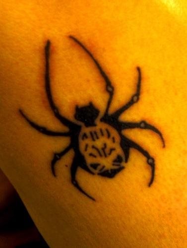 tatouage araignée 513