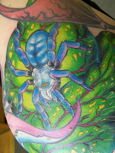 tatouage araignée 519