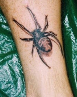tatouage araignée 521