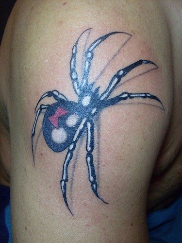 tatouage araignée 528